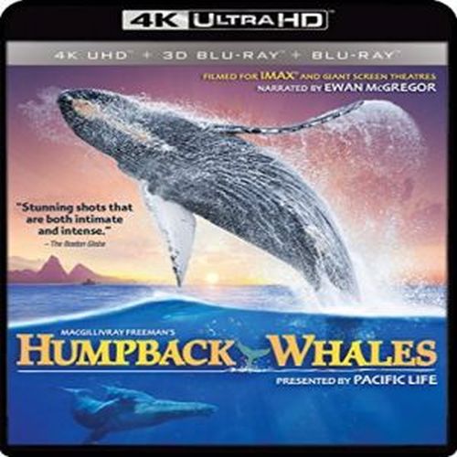 IMAX: HUMPBACK WHALES - IMAX: HUMPBACK WHALES (4K MASTERING) (WIDESCREEN) NEW 4K BLURAY